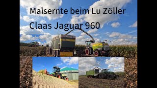 Maisernte beim LU Zöller mit einem Claas Jaguar 960 Inklusive Xerion 3800 amp Fendt 726 Vario [upl. by Trojan]