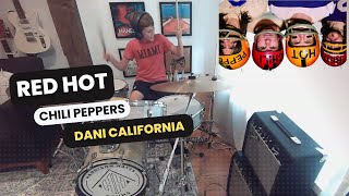 Red Hot Chili Peppers Dani California [upl. by Schweitzer]