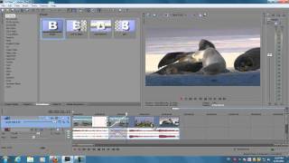 Sony Vegas Troubleshooting Solutions Window Disappearing Video Preview Lag [upl. by Ahtelrac675]