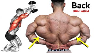 These are the 9 Biggest Back Exercises You Need to Know [upl. by Stargell487]