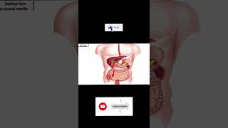 Amebiasis  Pharmacology [upl. by Alaikim]