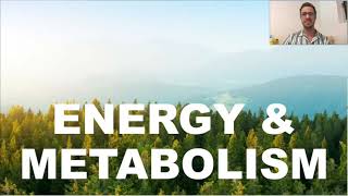 Energy amp Metabolism [upl. by Neret]