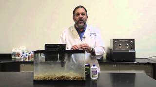 DrTims Aquatics Fishless Cycling Troubleshooting [upl. by Chadd]