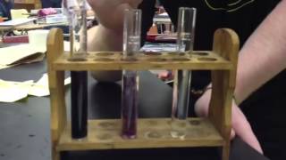 Ferric Chloride Test [upl. by Elyse]