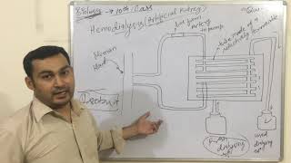 Hemodialysisartificial kidney 10th class [upl. by Oleic]