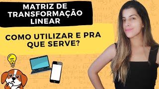 MATRIZ DE TRANSFORMAÇÃO LINEAR Onde aplicar  Exercícios Resolvidos  Álgebra Linear [upl. by Ettellocin]