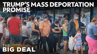 Inside Trump’s Plan for Mass Deportation  The Big Deal [upl. by Sualkcin]