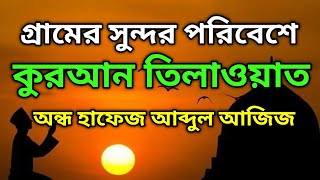 কুরআন তিলাওয়াত [upl. by Irrak]