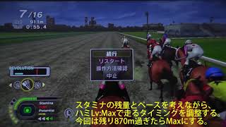 Champion Jockey Special 攻略動画 差し馬・基本編 チャンピオンジョッキースペシャル Nintendo Switch [upl. by Eelirol]