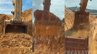 How To Excavators Load Soil Onto Trucks Professionally P562 excavator truck soil [upl. by Ender233]