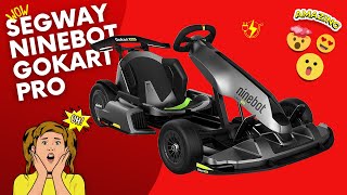 Segway Ninebot Gokart Pro Testing the Ultimate Electric GoKart 🚀 [upl. by Costanzia]