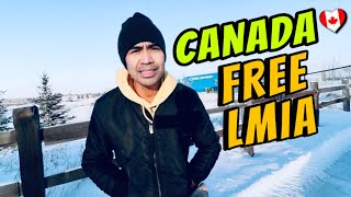 FREE LMIA in CANADA By Employment and Social Development CANADA By Soc Digital Media [upl. by Nawyt423]