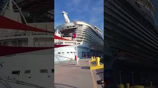 ROYAL CARIBBEAN SHIPS😲ALLURE amp ANTHEM ❤cruise cruiseship seamans shorts shortvideo short yt [upl. by Nahte859]