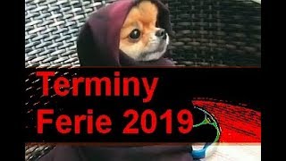 Ferie zimowe w 2019 terminy daty gdzie jechać ferie 2019 [upl. by Madanhoj561]