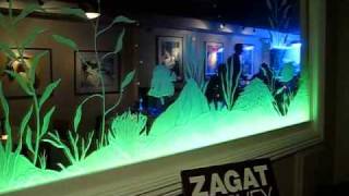 Etched Glass w LED Light System [upl. by Denae]