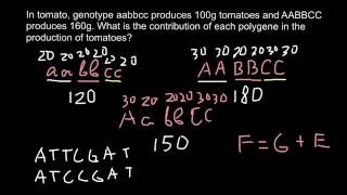 What is Polygene and Additive trait [upl. by Annabelle]