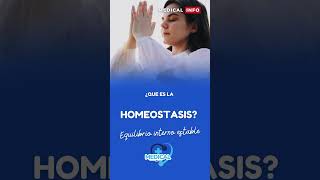 ¿Qué es homeostasis [upl. by Singer]