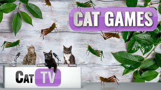 CAT Games  The Great Grasshopper Game  Cat TV 4K  Bug Videos For Cats to Watch  😼 🦗 [upl. by Eenttirb]