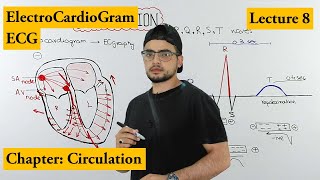 ECG Electrocardiogram fully explained  Chapter circulation  Video 8 [upl. by Yelyab]