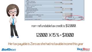 What are non refundable tax credits [upl. by Older]