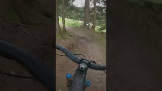 Flowtrail Blau im Racepark Schulenberg im Harz mtb enduromtb bikelive downhill [upl. by Annairdna394]