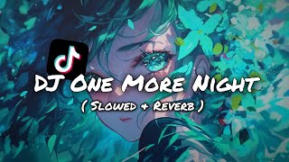 DJ ONE MORE NIGHT  SLOWED amp REVERB  viral tiktok [upl. by Niu]