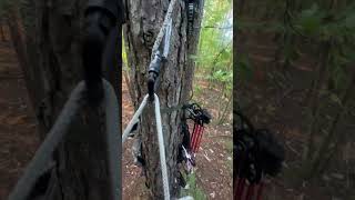 Saddle hunting Alabama saddlehunting whitetail keephammering bowhunter [upl. by Odo]