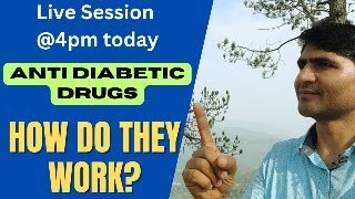 HOW DO ANTIDIABETIC DRUGS WORK ANTIDIABETICDRUGS MODEOFACTION SUGAR VIRAL VIDEO YTTRENDING YT [upl. by Santos]