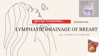 Lymphatic Drainage of Breast MNEMONICS BEST WAY TO REMEMBER anatomy conceptuallearning mnemonics [upl. by Zeitler]