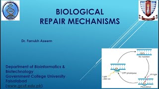 Lecture 1 Biological Repair mechanism [upl. by Ylro]