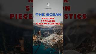 The ocean has over 5 trillion piece of plastics ocean plastics shorts facts [upl. by Millwater676]