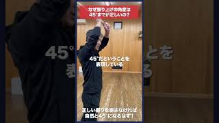 【剣道】なぜ振りかぶりは45°までなのか kendo shorts [upl. by Hyacinth]