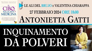 INQUINAMENTO DA POLVERI Con Antonietta Gatti e Valentina Chiarappa [upl. by Nevlin]