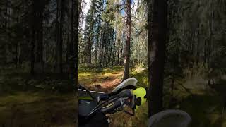 Journey through an Amazing Enchanted Forest on a Husqvarna TE300 [upl. by Salomone670]