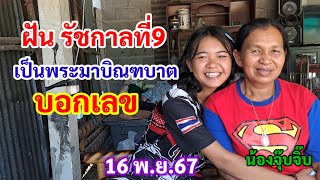 ฝัน รัชกาลที่9 เป็นพระมาบิณฑบาต บอกเลข 16 พย67 ฝันจุ๊บจิ๊บ [upl. by Nagard]