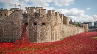 Poppy memorial timelapse at Tower of London from dawn to dusk [upl. by Nile]