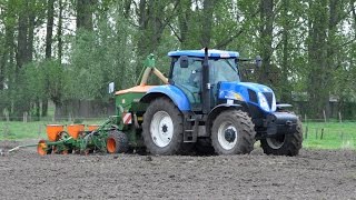 Loonwerken NeytVan Laere  New Holland T6070 amp Amazone ED 602K  mais zaaien [upl. by Laurella]