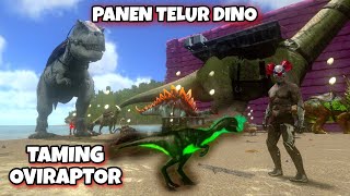 TAMING OVIRAPTOR DAN FUNGSI OVIRAPTOR  CARA CEPAT DINO BERTELUR ARK MOBILE INDONESIA [upl. by Joash19]