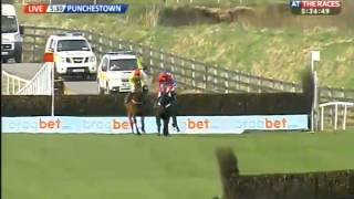 Sprinter Sacre wins Champion Chase 2013 [upl. by Nylorac502]