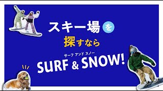 【スキー場を探すならSURFampSNOW】あなたのスキー場選びをもっと楽しく！ [upl. by Daloris567]