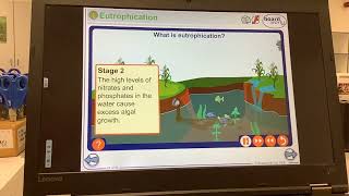 KS4GCSEBIOLOGYEcologyEutrophication [upl. by Finny]