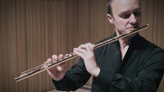 Philipp Jundt plays Undine Sonata Reinecke 1st mov [upl. by Nonnel]