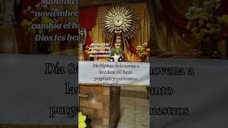 Día Séptimo de la novena a las Almas del Santo purgatorio y por nuestros fieles difuntos ✨🙏 [upl. by Dlorrej]