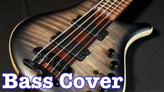 If I Could  1927  bass cover [upl. by Quintin]