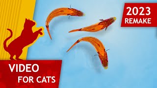 🐱Cat Games  🐟 Catching Fish Remake 2023 Video for Cats to watch 4K [upl. by Bandler288]