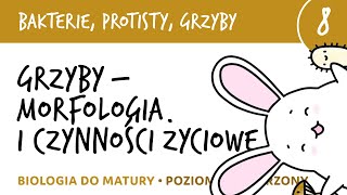 Grzyby  morfologia i czynności życiowe  Bakterie grzyby protisty 8  matura z biologii liceum [upl. by Ecydnarb383]