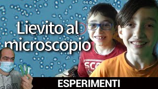 Lievito al microscopio esperimento didattico per bambini è bellissimo vedere le cellule muoversi [upl. by Assyn]