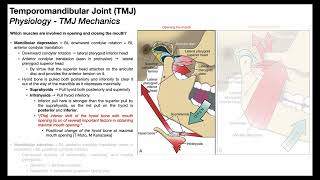 Temporomandibular Joint 😲  Biomechanics Part 22 [upl. by Nichole]