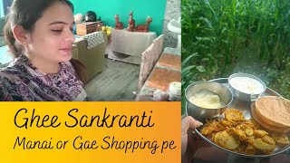 Ghee Sankranti Vlog  Pahadi Festival  Pallavi Sharma Vlogs pahadivlogs [upl. by Anital522]