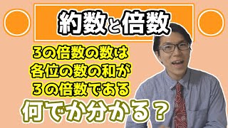 【高校数学】約数と倍数～倍数の判別法の理解をしよう～ 51【数学A】 [upl. by Rhodia58]